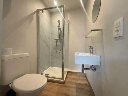 Gerenoveerd flatje te huur! - Foto 3