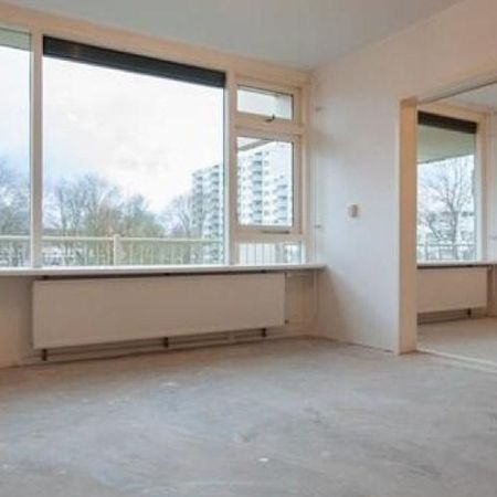 Zilverberg, 1025 CJ Amsterdam, Nederland - Photo 4