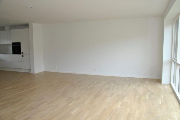 Sønæshave - Photo 1