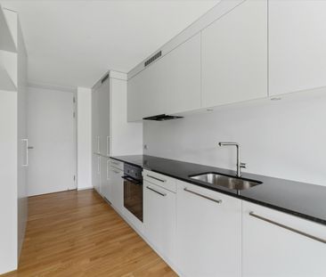 Wo das Leben aufblüht - Foto 3