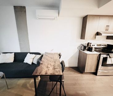 Appartement à louer, Montréal (Le Plateau-Mont-Royal) - Photo 3