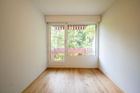 Route Frontenex, 5 rooms on the 3rd floor, approx. 100m2 - Photo 4