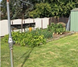 Modern 4 bedroom, 2 bathroom home - Photo 6