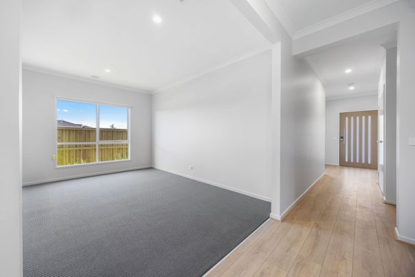 Spacious Family Home In Bonshaw - Photo 1