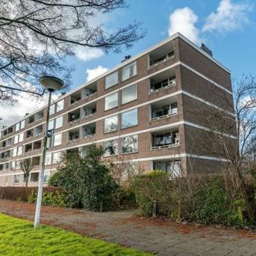 Paramaribostraat 2315 Leiden - Foto 1