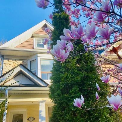 For Lease - 21 Wroxeter Avenue Unit# Upper, Toronto, Ontario - Photo 1