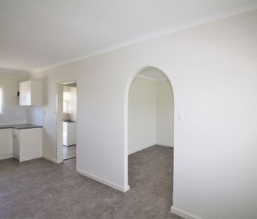 Modern 2 Bedroom Unit with Large Rear Yard - Photo 5