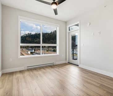 MCGILL - 309 - MG309 - Photo 1