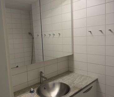 MIETEN OHNE KAUTION - Traumhafte Aussicht über Stadt und See - Photo 2