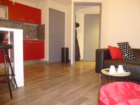 Location Appartement 1 pièce 29m² LE PUY EN VELAY 43000 - Photo 4