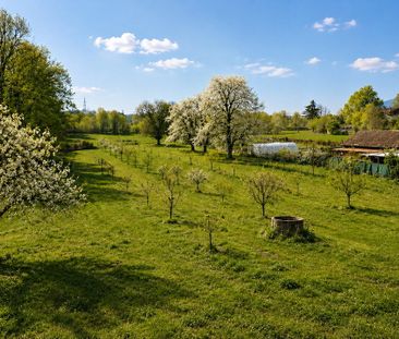 6 Zimmer, 240 m², 3. Stock - Photo 2