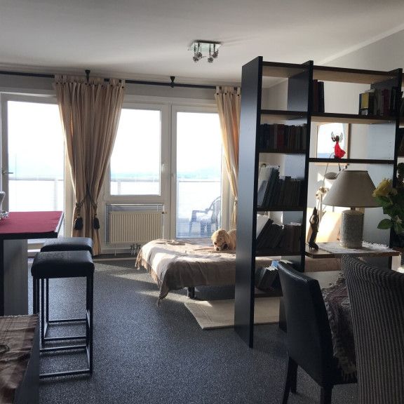 Donauparkblick! Spacious studio apartment on a higher floor for short or long term rent! - Photo 1
