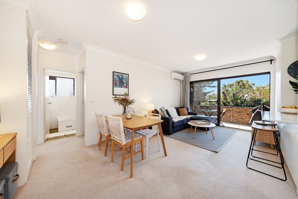6/85 Albion Street, Randwick NSW 2031 - Apartment For Rent | Domain - Photo 1