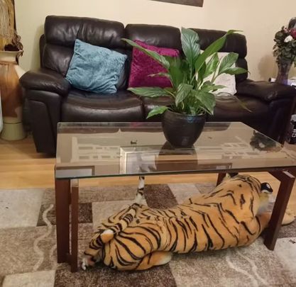 The Boulevard Cruise Park, Dublin - Photo 1