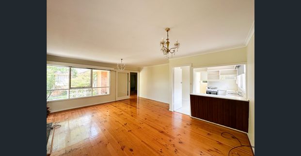 Spacious Family Home in the Heart of Box Hill - Photo 1