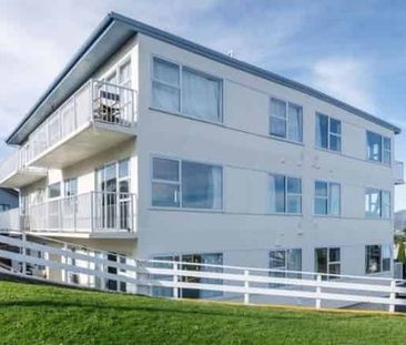 Spacious, Light-Filled Furnished Apartment - Photo 1