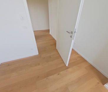 Neues Jahr, neues Glück! Jetzt Termin vereinbaren! - Foto 1