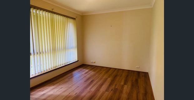 Groovy Glassby - Photo 1