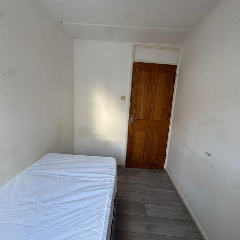 4 bedroom house share to rent - Photo 1
