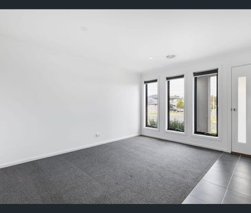 Spacious Family Living in a Quiet Leopold Pocket - Photo 6