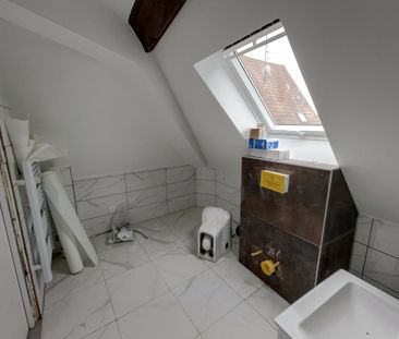 Location Appartement 1 pièce 22m² SELESTAT 67600 - Photo 3