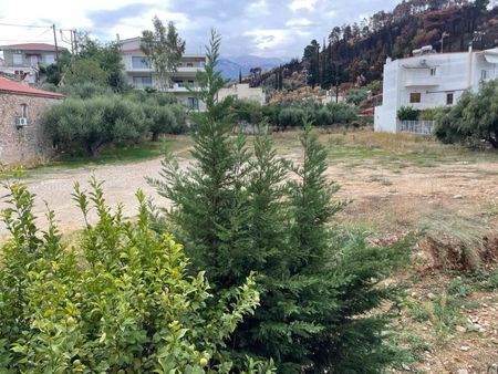 Διαμέρισμα για ενοικίαση Μποζαΐτικα (Πάτρα) - Φωτογραφία 2