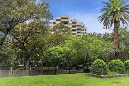 Luxury Garden Apartment Overlooking Cook + Phillip Park - Photo 3