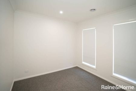 Jump into Jumbuck - Photo 3