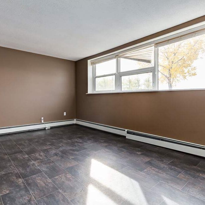 Renovated Suite - 2 Bedroom - Photo 1