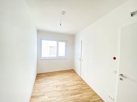 U3 ERSTBEZUG Top Dachwohnung 2 Zimmer + Terrasse =DAS LAURENZ= 1 bedroom apartment+terrace - Photo 3