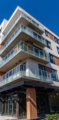 1 1/2 - Montréal - 1 490 $/mois - Photo 1