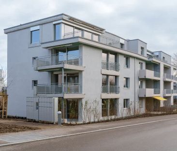 2.5 Zimmer, 53 m², 1. Stock - Foto 5