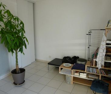 Location Appartement 1 pièce 25m² FROUZINS 31270 - Photo 2