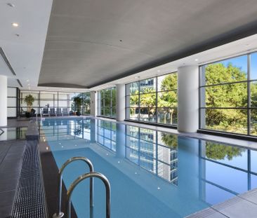 Forum Apartments - 1 Bedroom + Study - Photo 6