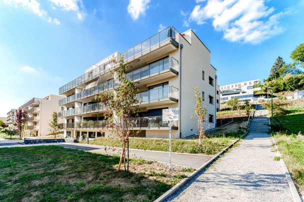 3.5 Zimmer, 93 m², 3. Stock - Photo 1