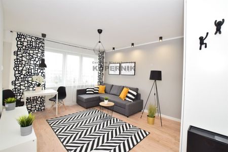 Toruń, Toruń - Photo 3