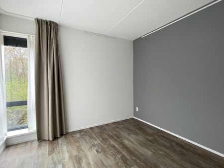 Tuinderswerf - Photo 3