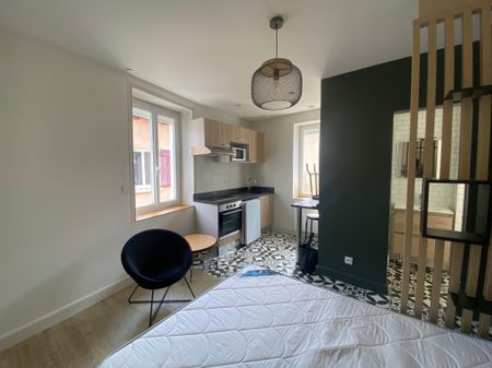 Location Appartement 1 pièce 16m² BRIGNAIS 69530 - Photo 5