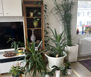 Februari gatan, Göteborg - Foto 2