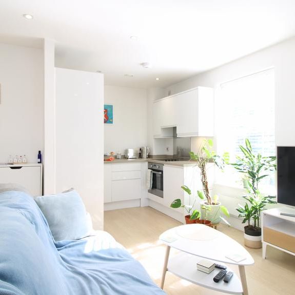 1 bedroom flat to rent - Photo 1