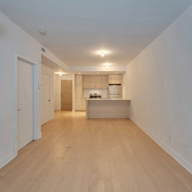 Appartement à louer - Montréal (Le Sud-Ouest) (Griffintown) - Photo 1