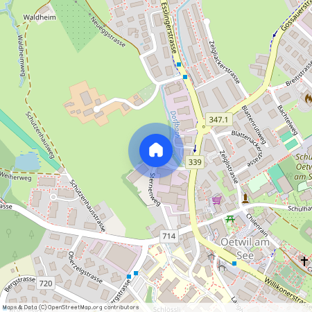 8618, Oetwil am See, Schöneggweg, 6