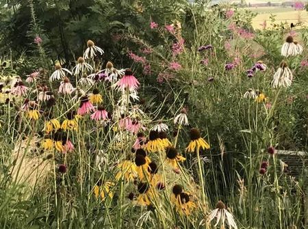 2.5 Zimmer, EG - Foto 4