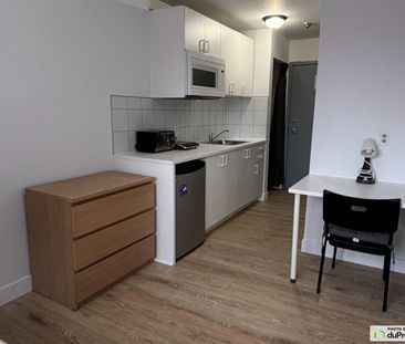 1024, rue sherbrooke, Le Plateau-Mont-Royal à louer - Photo 3