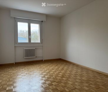 2 Zimmer, 50 m² - Foto 2