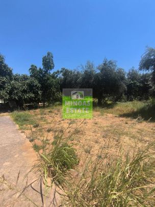 Διαμέρισμα για ενοικίαση Πασακάκι (Θέρισος) - Φωτογραφία 1