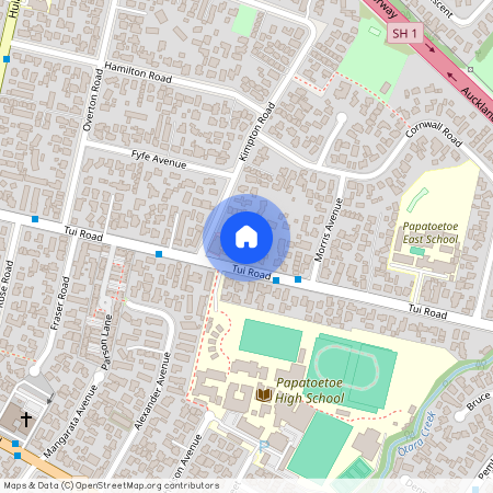 100C Tui Road, Papatoetoe, Manukau City