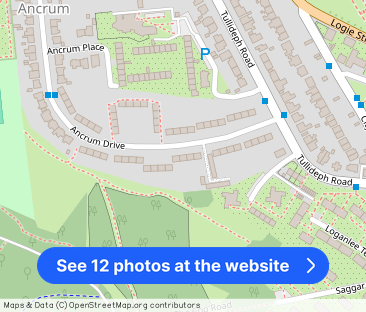 Ancrum Drive, Dundee, DD2 - Photo 1