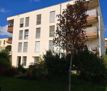 Impasse des Alpes 11 / 2,5 pièces de 90 m2 avec terrasse - Foto 4