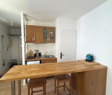 Location Appartement 1 pièce 25m² GRENOBLE 38100 - Photo 2